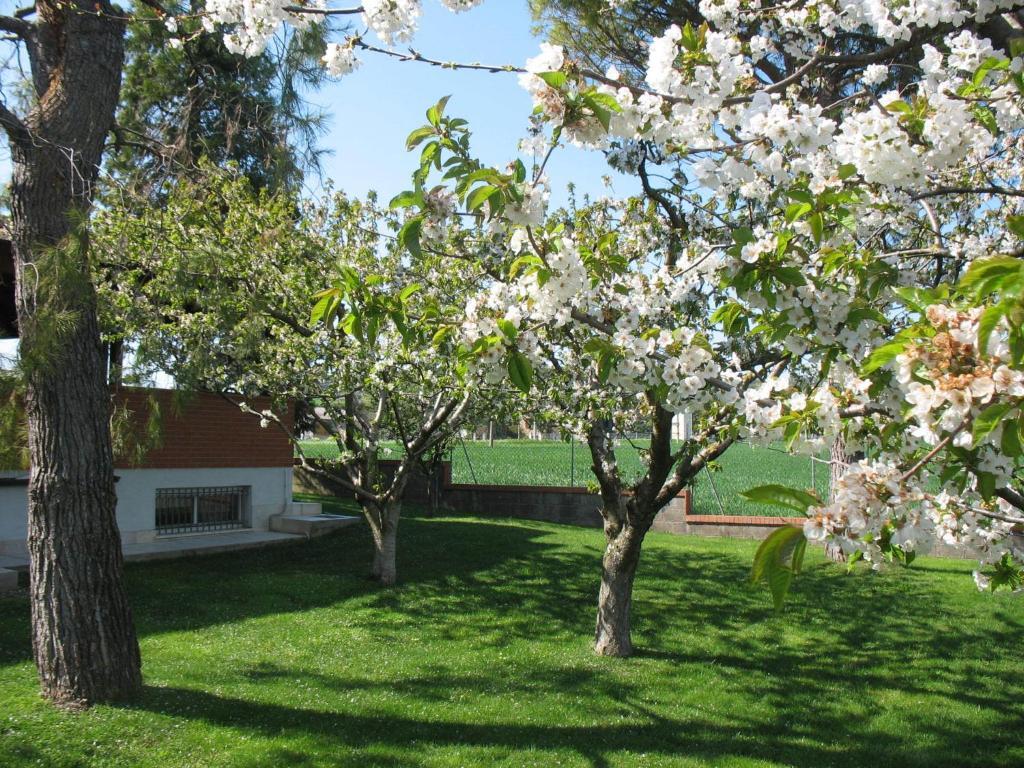 Bed & Breakfast Bompadre Civitanova Marche Esterno foto